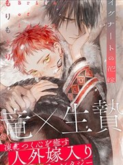 火焚红莲寺漫画版封面